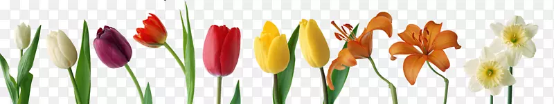 ���ܼ��������������ļ�-�ٺϻ�-������