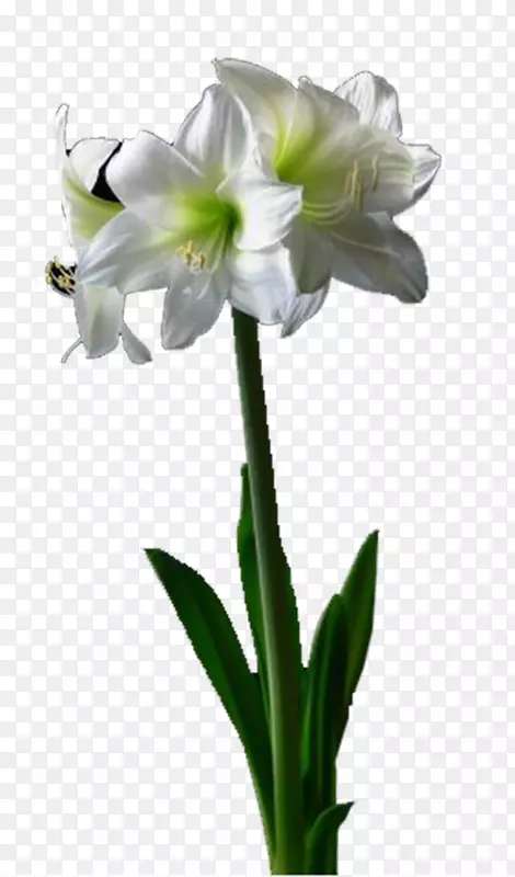 �ٺϻ��ٺ��л��ٺϻ�-������