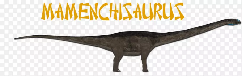 ����̫������ͷ�ǵ�-������