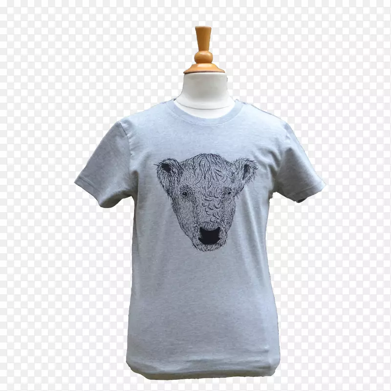 T���侱��Ʒ-��Ѷ�Ƽ����׻ả��-������