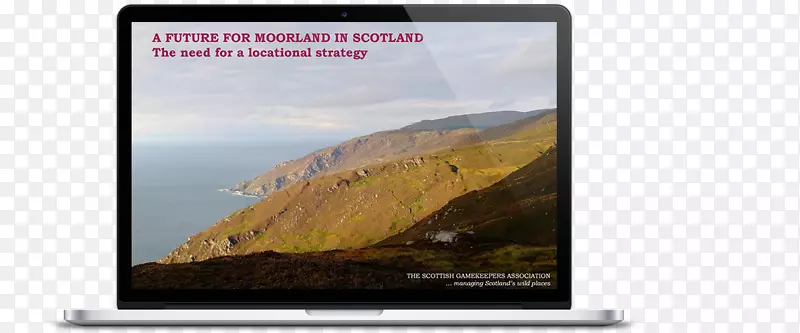 ��ý����ʾ��������������.�������-������