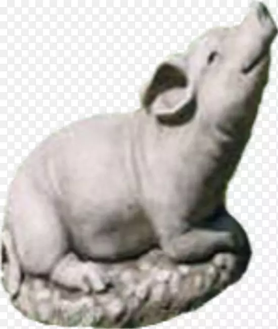 ���������½������-��-������