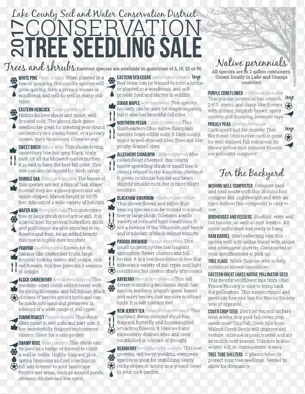 �ļ���������-����-������