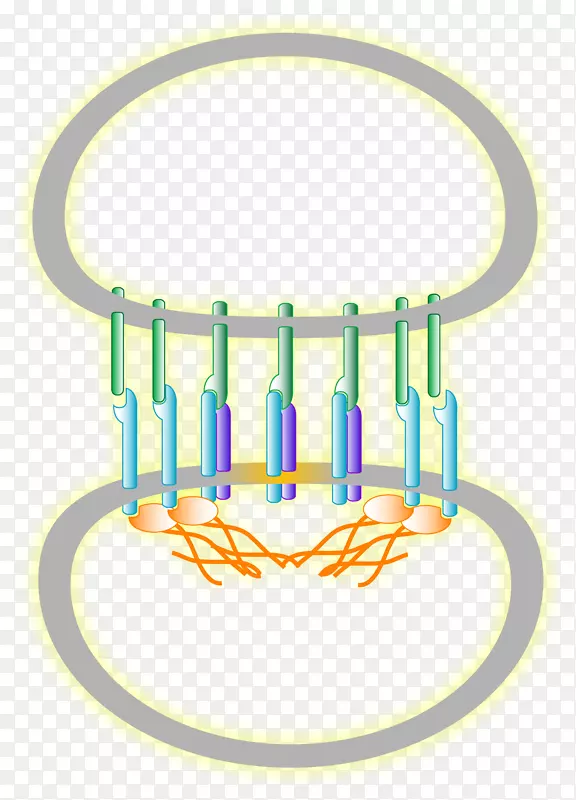 ��Ʒ��Ʋ���������-����ҽҩ���-������