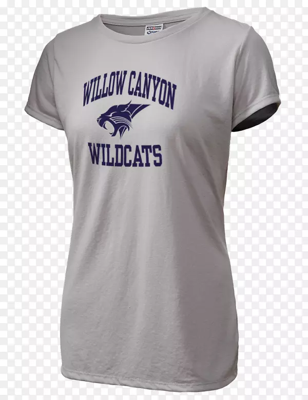 ������t�������������ռ��˶�t��-������