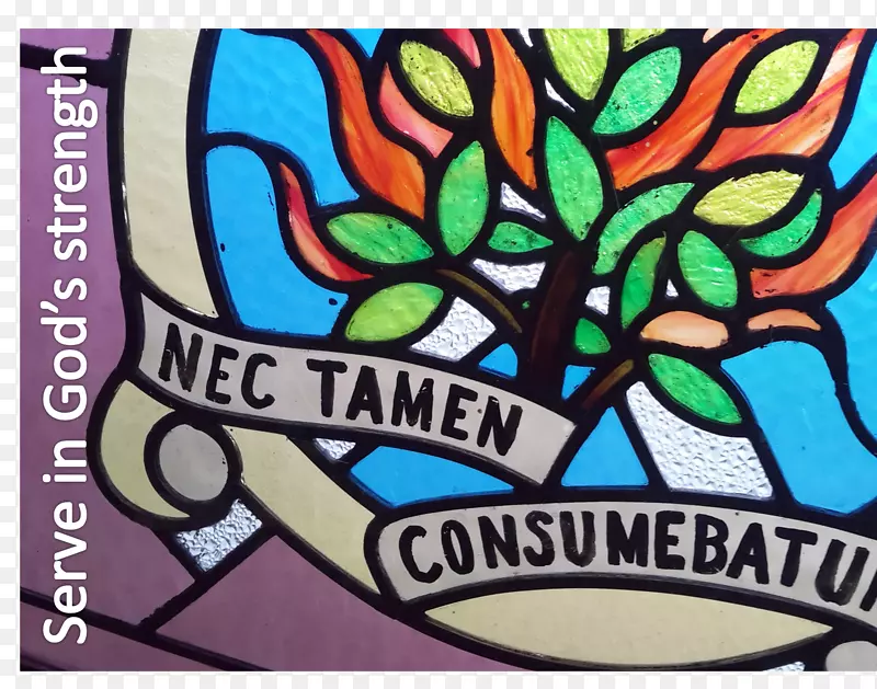 ��������ͼ���������.����-������