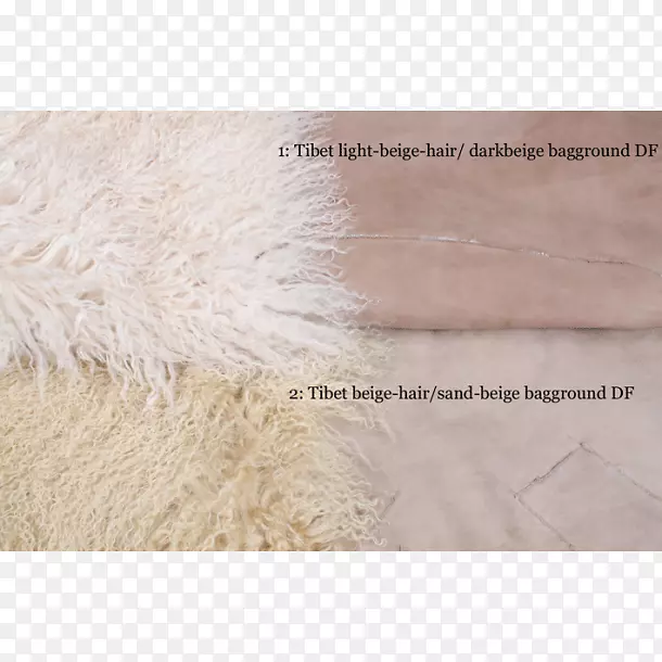 ��ɫ����-������