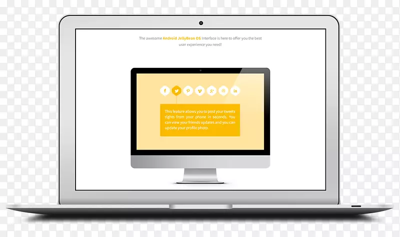 ��ý��Ʒ�Ʋ�Ʒ���չʾ�����֯���-������