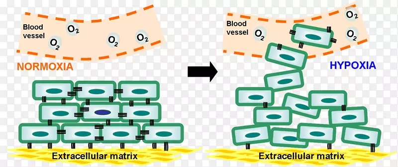 ȱ���방֢������ѧ���弰���ƻ���-һƪ�о�����-������