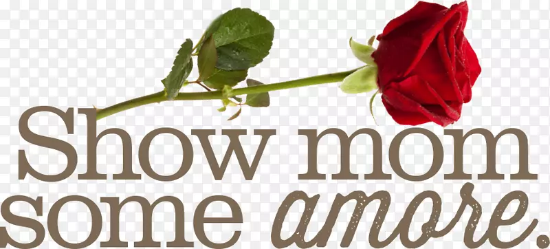 ��԰õ����������л�-���������װ-������