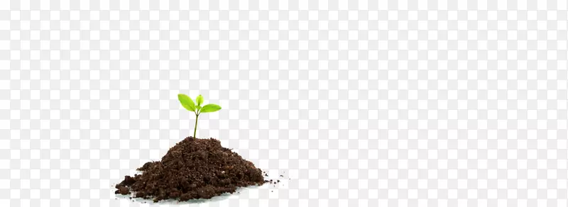 �㱧�������һ�ҧ�������ϴ�ѧ�����������ѧ���ȴ�����-������