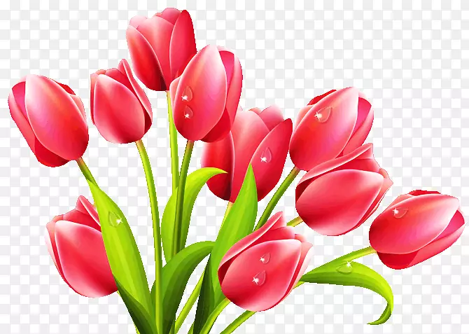 pngͼƬ���������������װ���-��-������