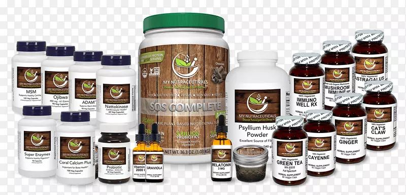 Ӫ�������-������