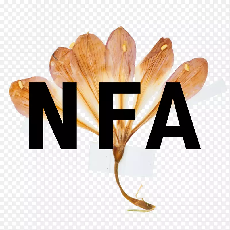 ��־��Ʒ���Ʒ���������-������