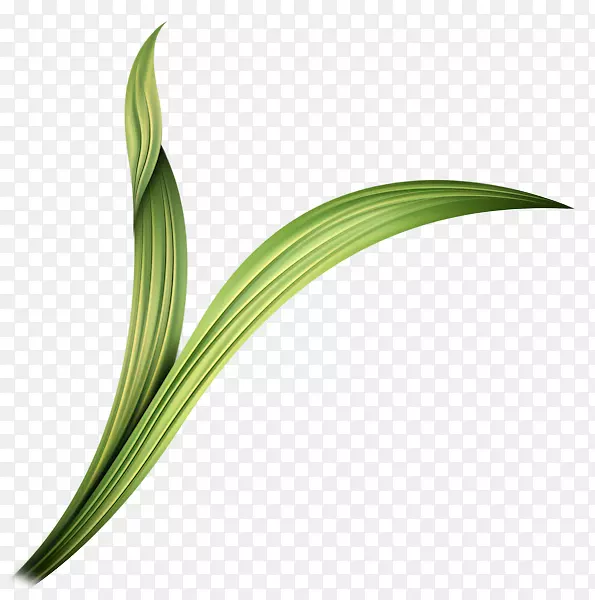 ���Ĳ�������ͼ��ͼ��Ҷ-��־����-������