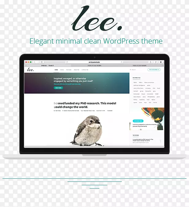 ��ҳ��ý���ý��չʾ��漼��-������