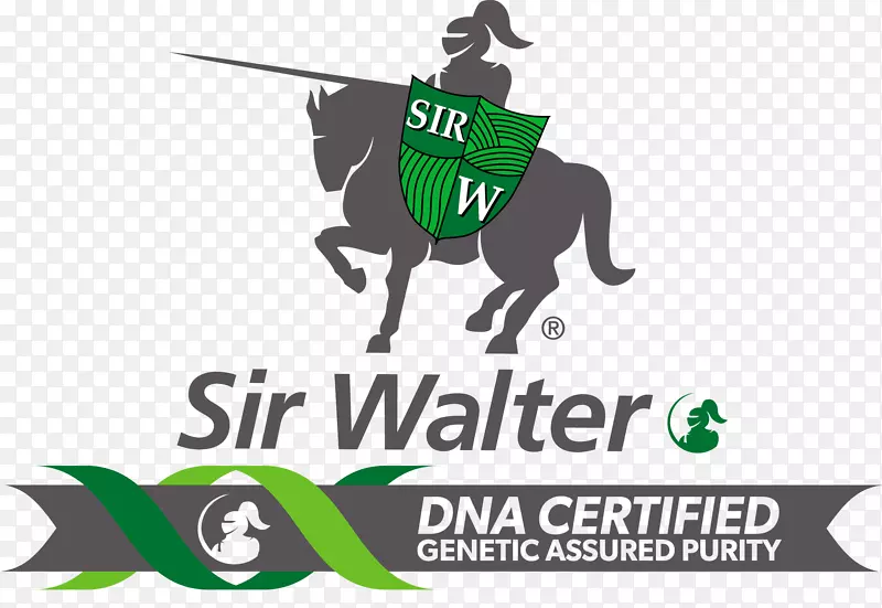 Ϥ��ֲ�ƺ�ݰ¹�˹����-dna����-������