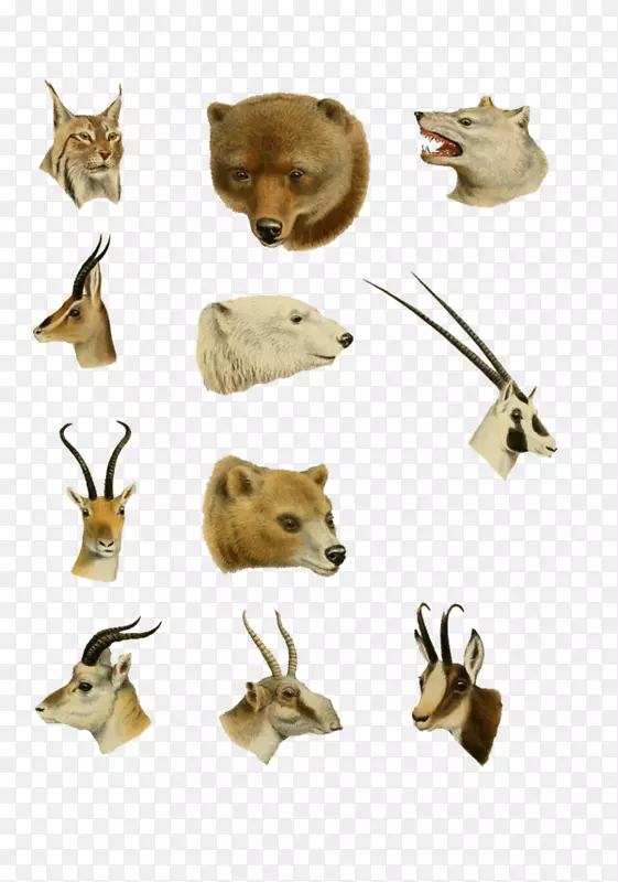 ��Ʒ��ƶ���.���-������