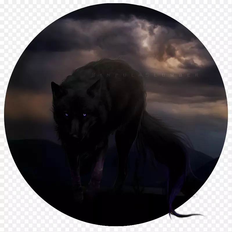 ��è��è���Ӻڱ�è-������