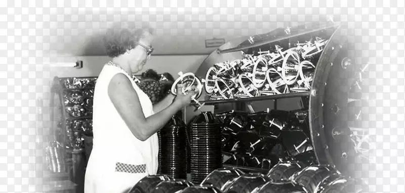 ���������廯���޹�˾������ҵ����-��˾��ʷ-������