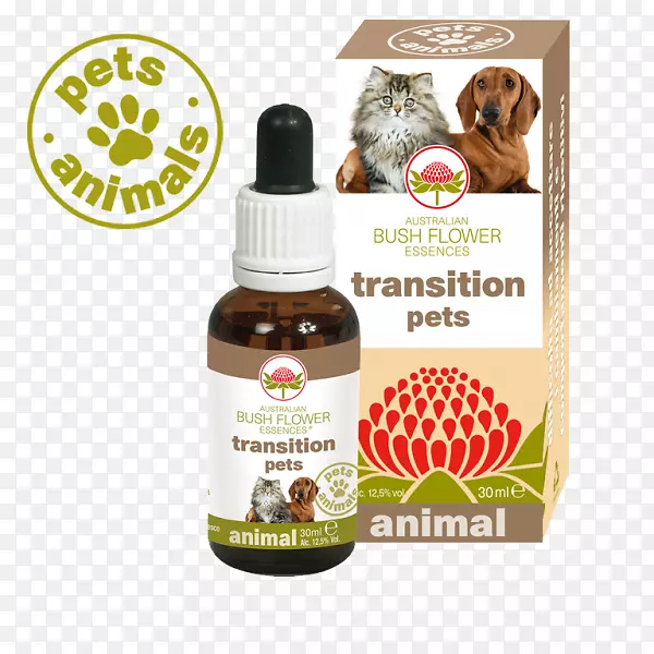 �Ĵ����ǹ�ľ���ܾ���ҩ��-������