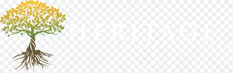 С֦�ݣ�ֲ�ﾥ������-�������ֻ�-������