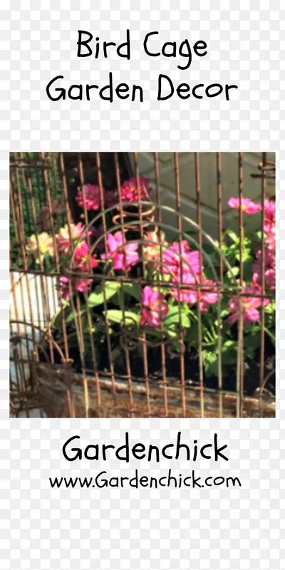 ԰�ղ�ƺè��ֲ��-������