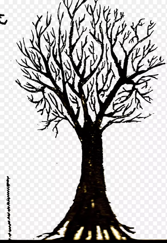 ���ƿ���ֲ���ͼ/m/02csf-��-������