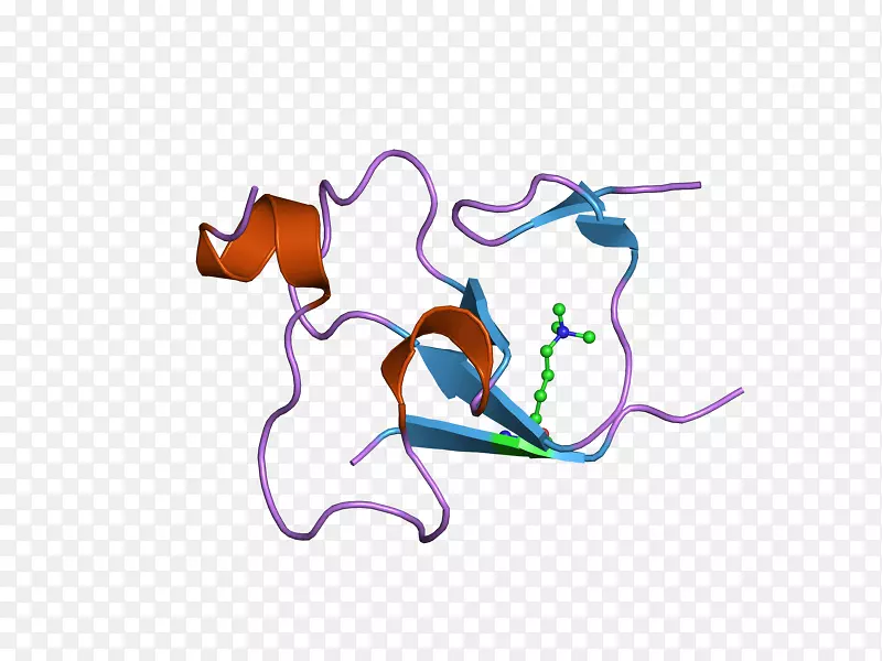 ��������ͼ��Ʒ��������ֽ��ָ����-������