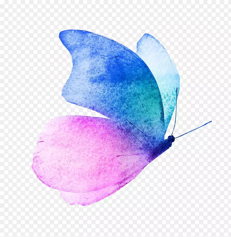 ����ˮ�ʻ�����-��Ѻ���-������