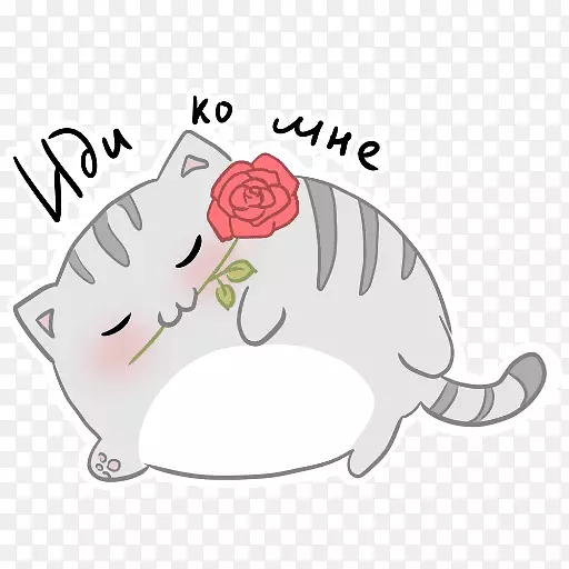 ����è���������ӹ�è-������