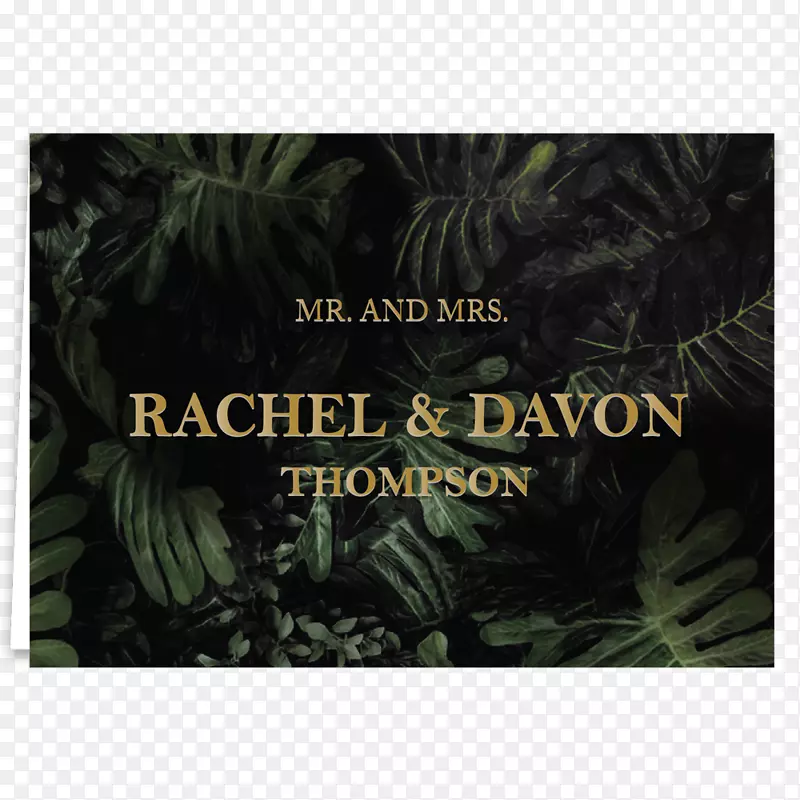 ������ͼƬ������Ӱ��-������