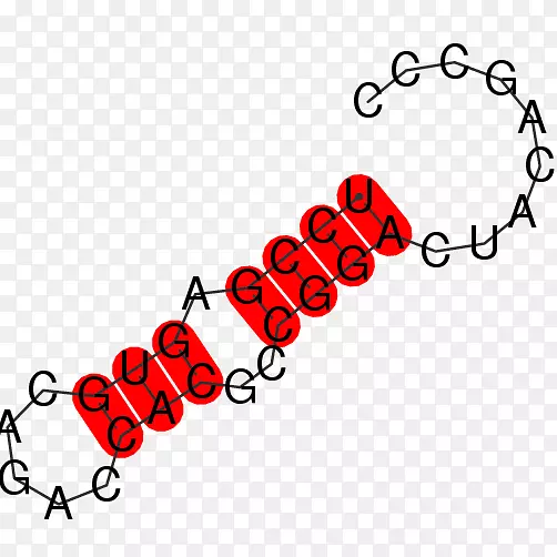 ƽ����Ƽ��������������-������