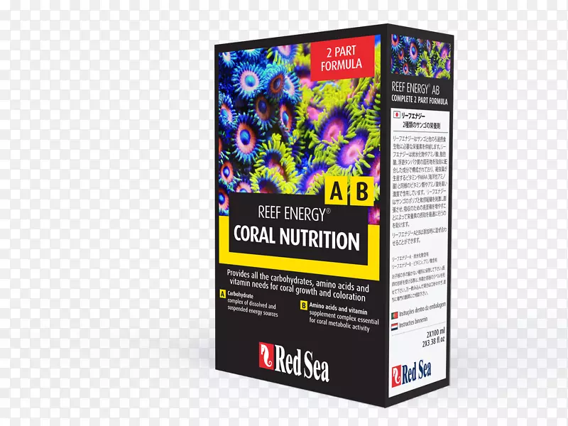 ɺ������ʳ��������������-����-������