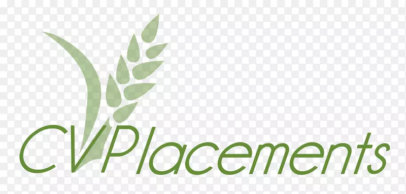 ��־Ʒ�Ʋ�Ʒ�����Ҷ-������