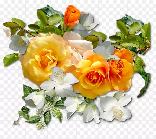 ��԰õ�壬pngͼƬ�������������ܲ���-��-������