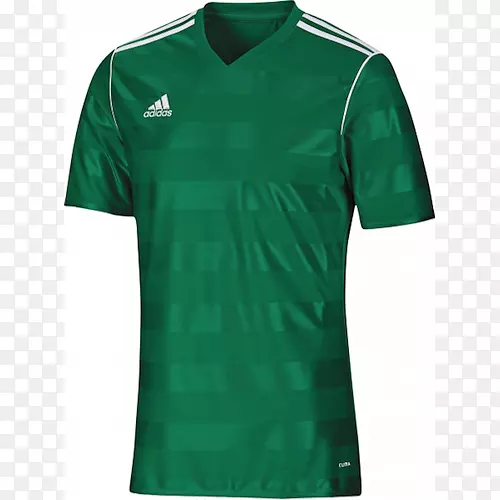 t�����ϴ�˹�������˶����˶�����t��-������