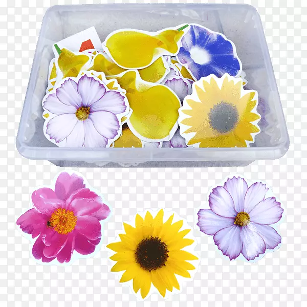 ���껨�������л�ѧϰ��Ʒ-������