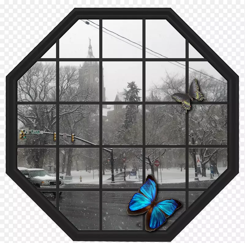 �ɹⲣ���β�����-���-������