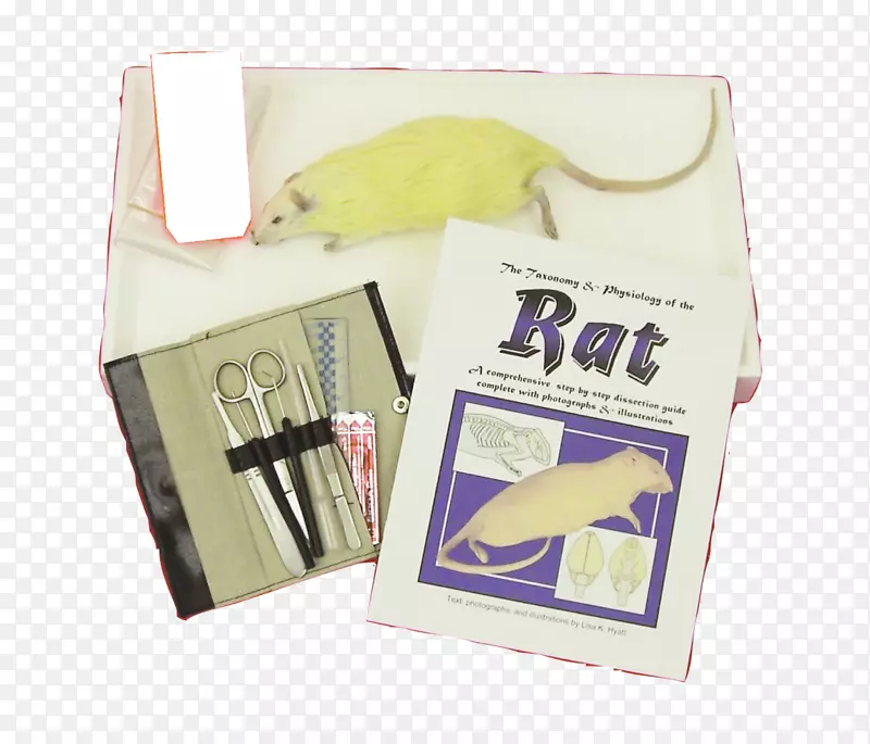 ֽ��Ʒ.��������-������