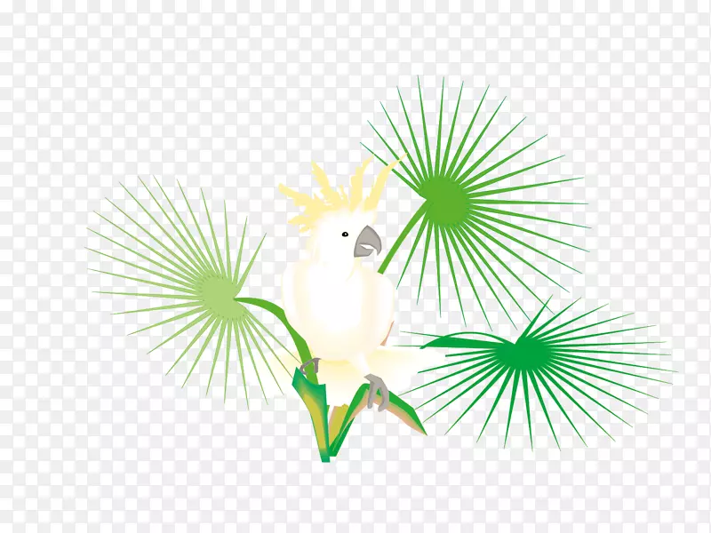 ���-�����ɲ�-������