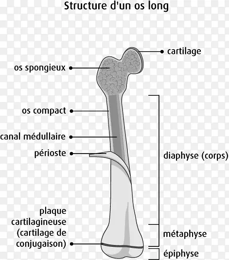 ��ָ���ǽ��ʹǰ�-��ϸ��ϸ��-������