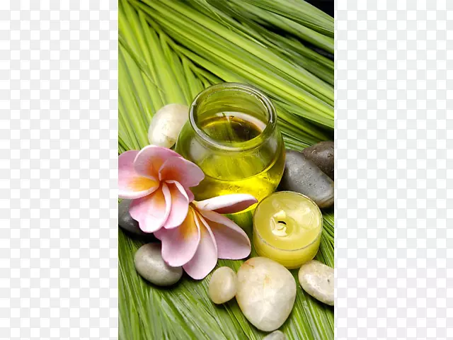 ���ཡ��������Ȼʳ��ҽҩ����ʳƷ-���ຣ��ͼƬ-������