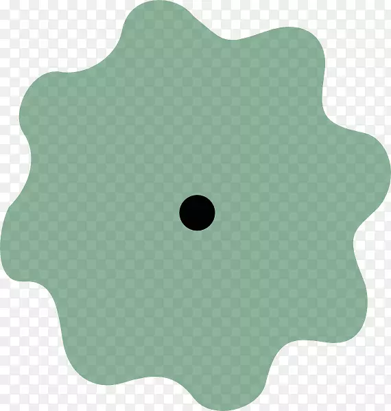 ��Ʒ�����ɫ�����������-������