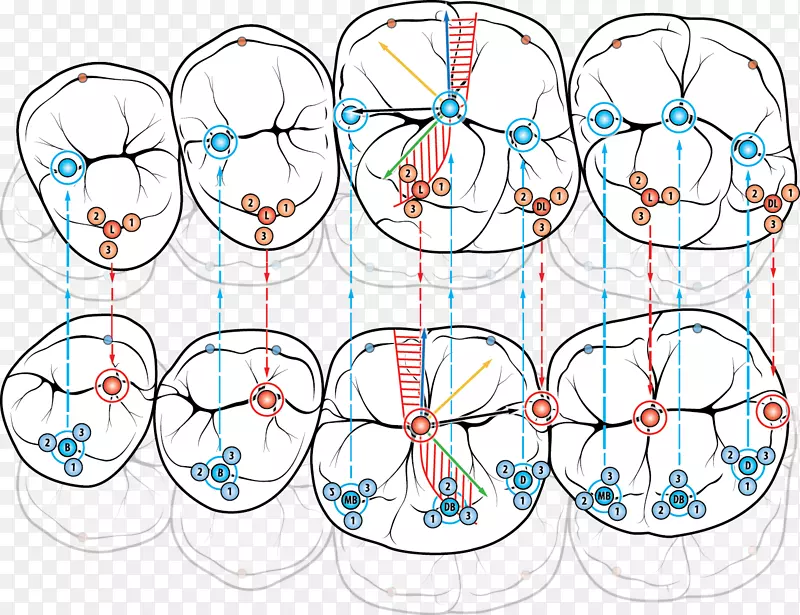 �������廭�ߵ��Ʒ��-������