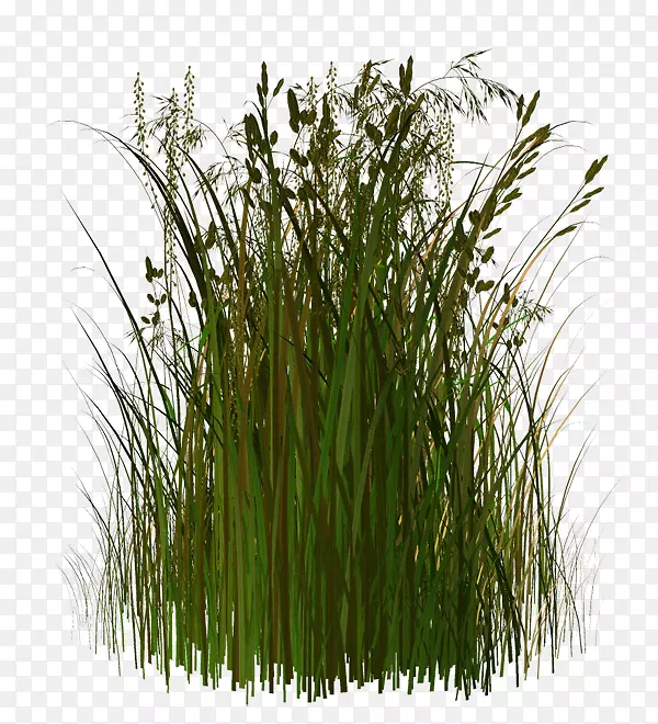 ������pngͼƬ�ݱ�ֲ����ͼ����-������