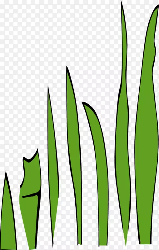 ������.�ݵĿ�ͨ��-������