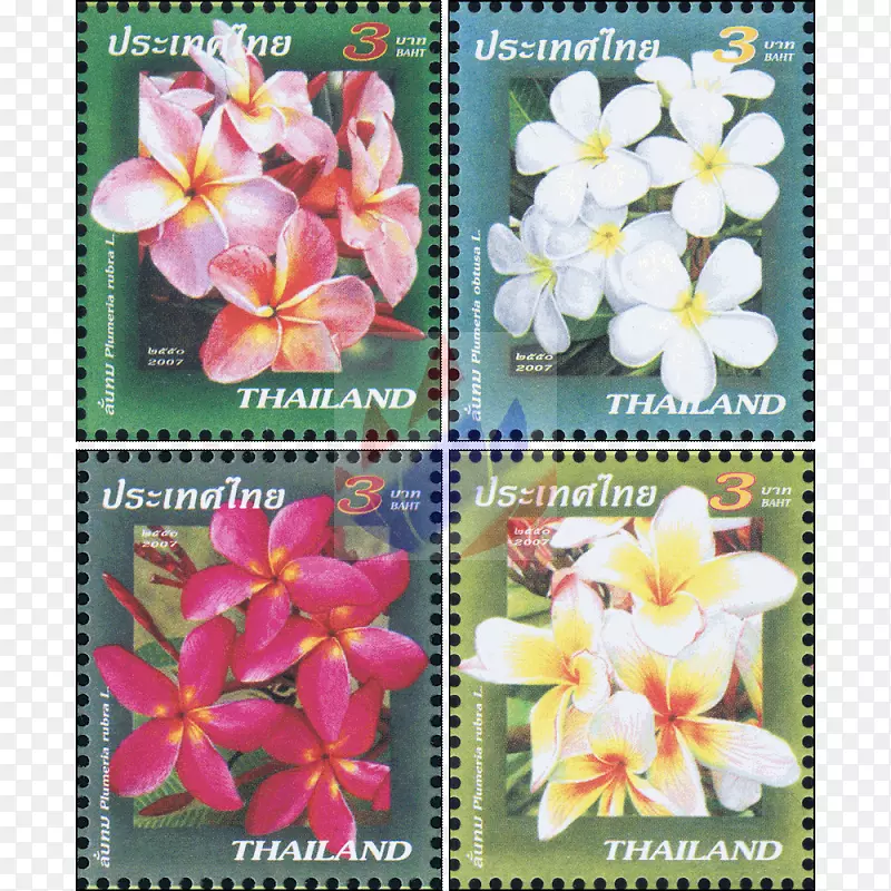 ̩������ֲ����Ʊֲ��-����14 2 1-������