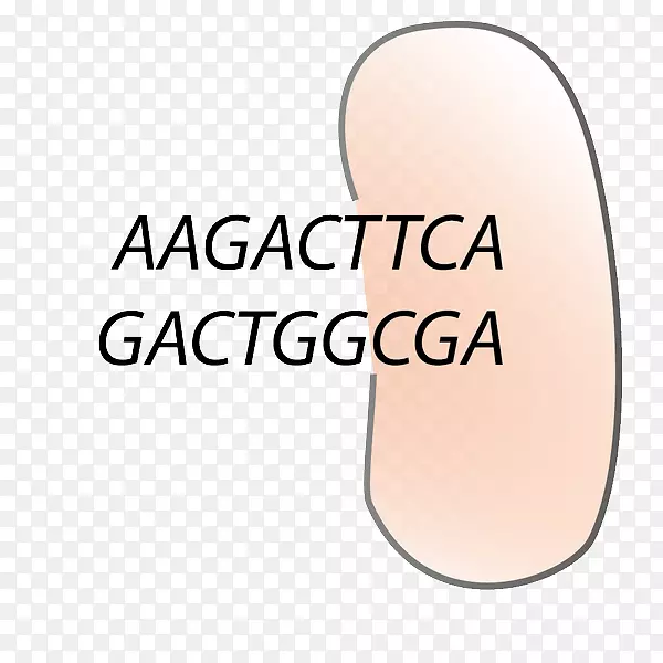 ��Ʒ���Ʒ����ָ����-���ظ�-������