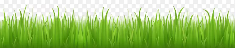 �滭������-��PNGͼ����ɫͼƬ-������